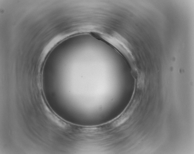 X0000070421342200606302052