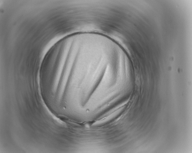 X0000070421343200606302052