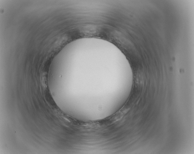 X0000070421346200606302051