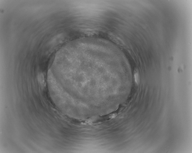 X0000070421347200606302051