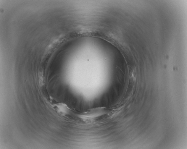 X0000070421348200606302051