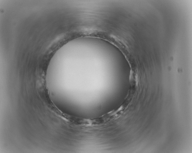 X0000070421349200606302051