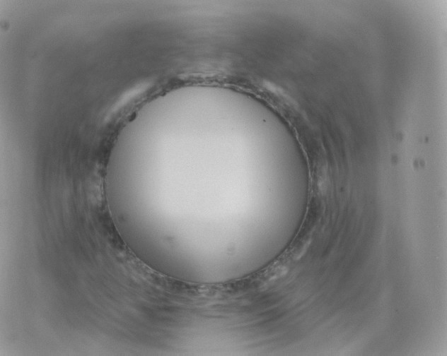 X0000070421350200606302051