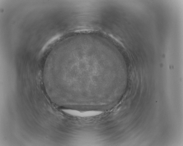 X0000070421351200606302051