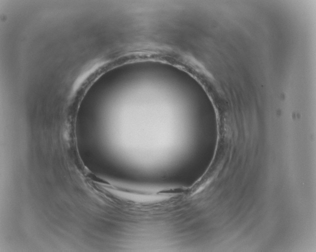 X0000070421352200606302051