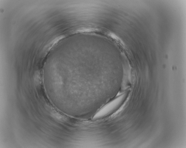 X0000070421353200606302051