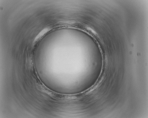 X0000070421354200606302051