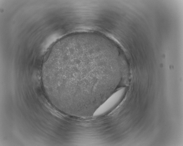 X0000070421355200606302051