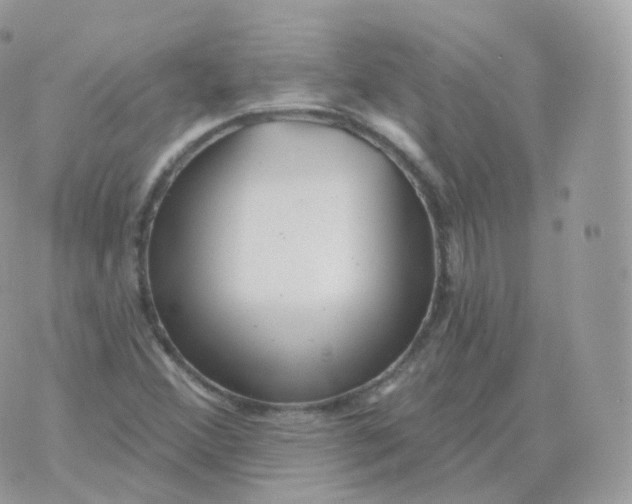 X0000070421356200606302051