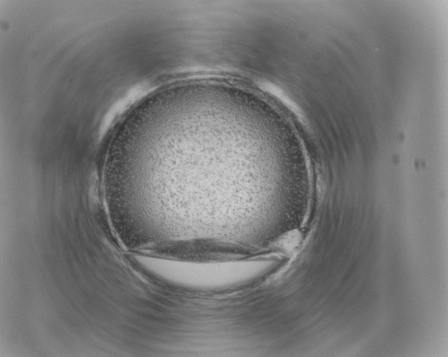 X0000070421357200606302051