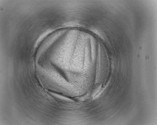 X0000070421358200606302051