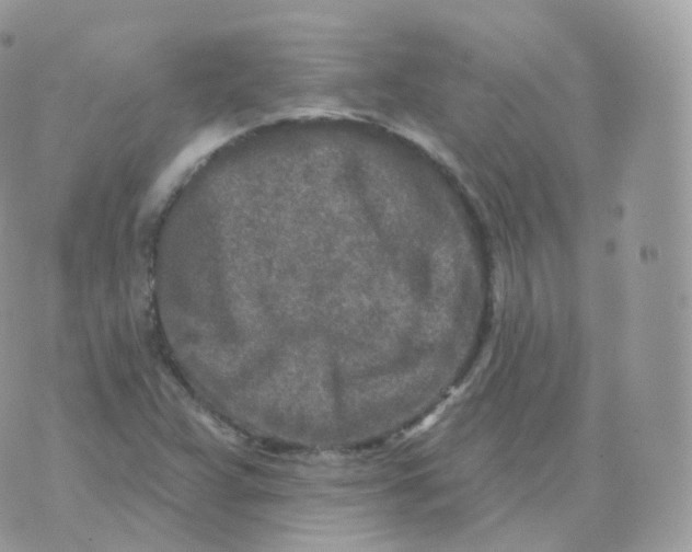 X0000070421359200606302051