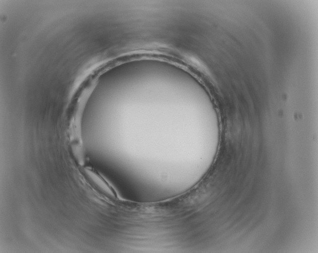 X0000070421360200606302051