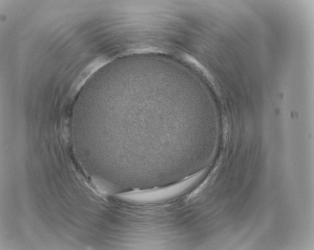 X0000070421361200606302051