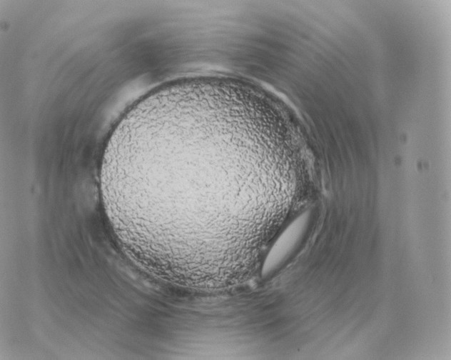 X0000070421363200606302051