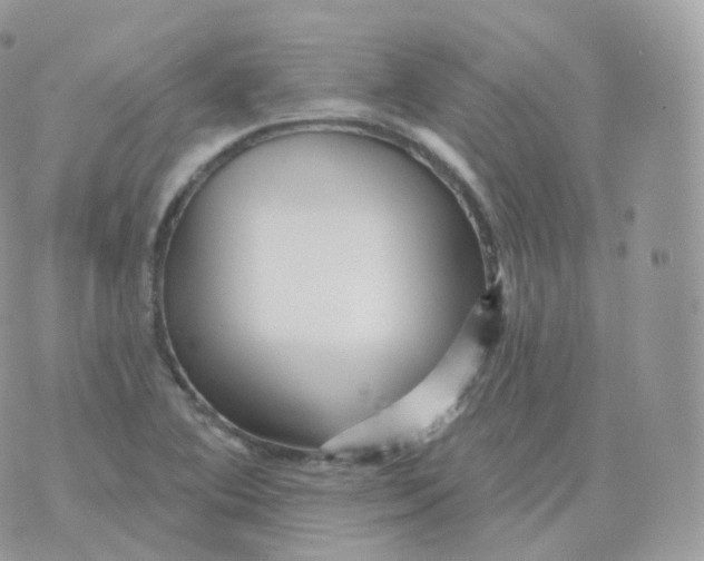 X0000070421364200606302051