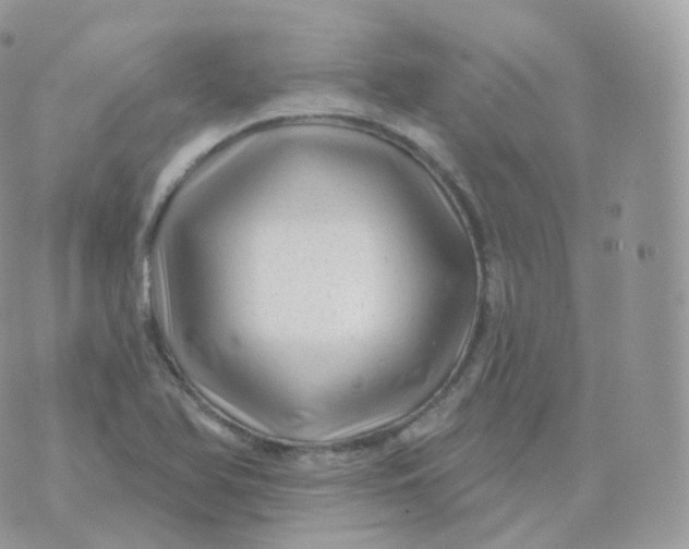 X0000070421366200606302051