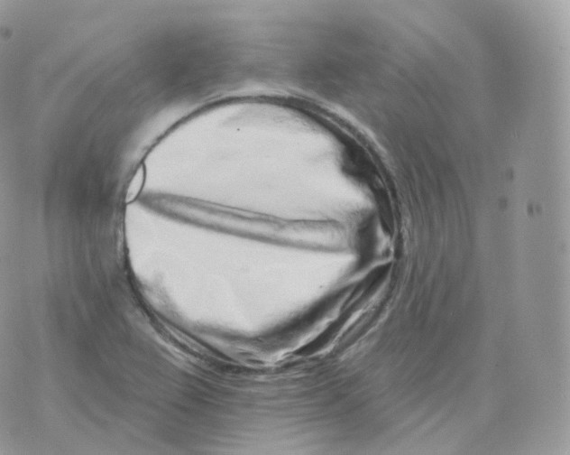 X0000070421367200606302050