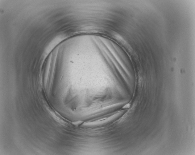 X0000070421370200606302050