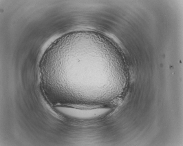 X0000070421371200606302050