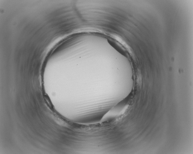 X0000070421372200606302050