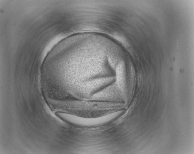 X0000070421374200606302050