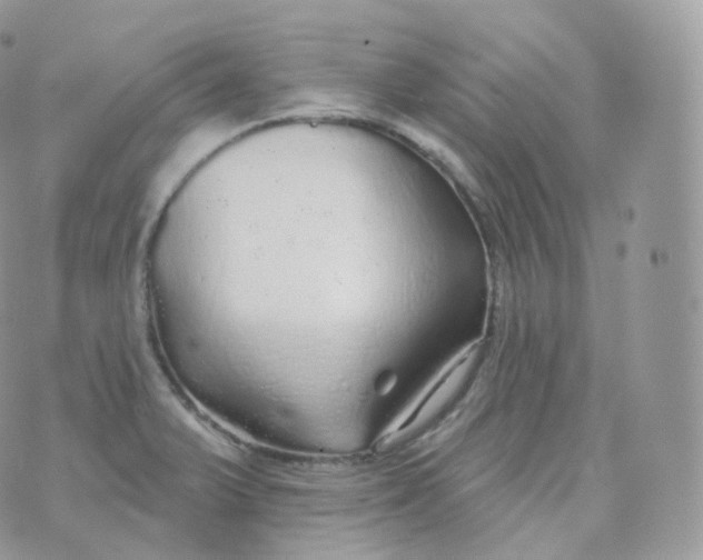 X0000070421375200606302050