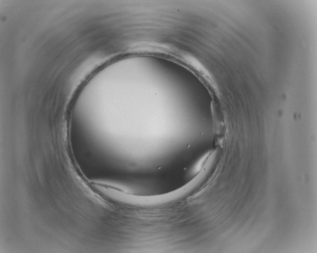 X0000070421376200606302050