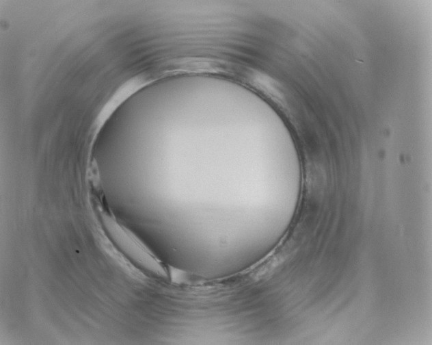 X0000070421378200606302050