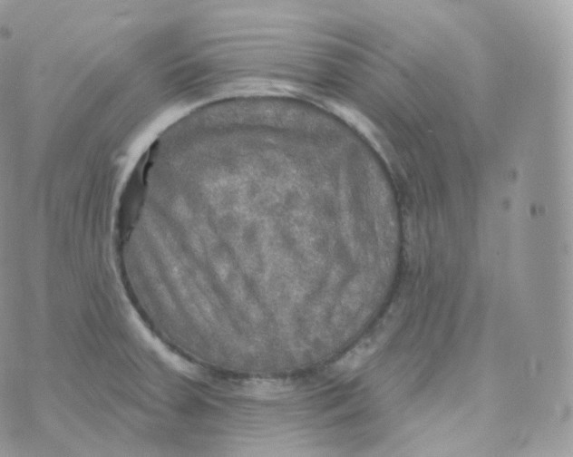 X0000070421379200606302050