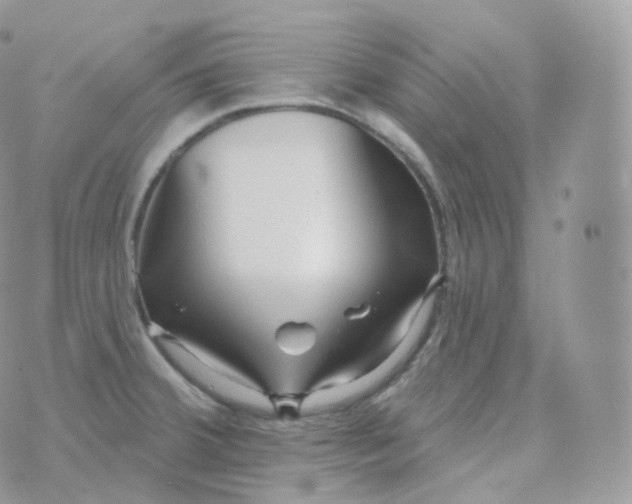 X0000070421380200606302050