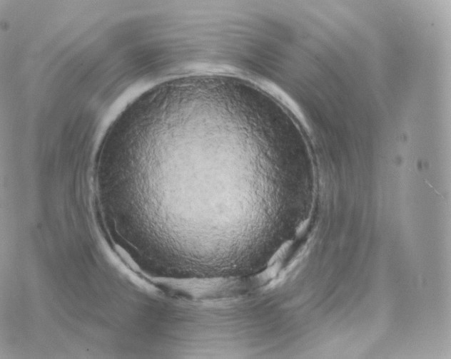 X0000070421381200606302050