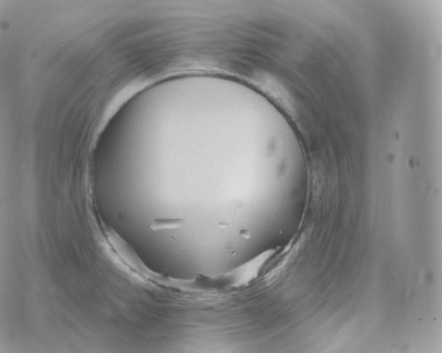 X0000070421382200606302050