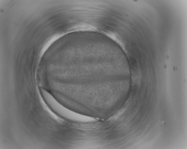 X0000070421383200606302050