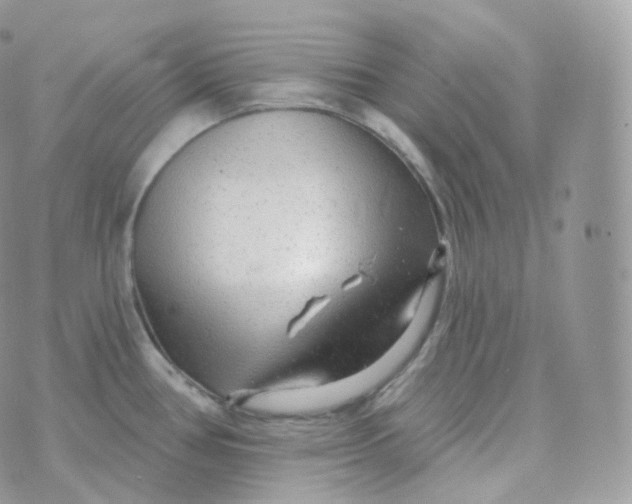 X0000070421386200606302050