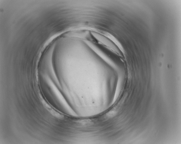 X0000070421388200606302050