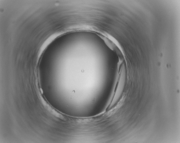 X0000070421389200606302050