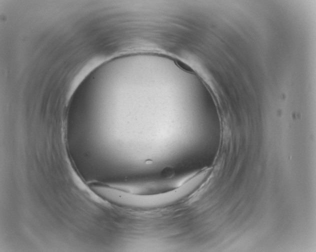 X0000070421390200606302050