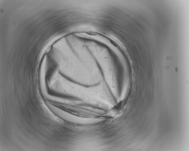 X0000070421392200606302050