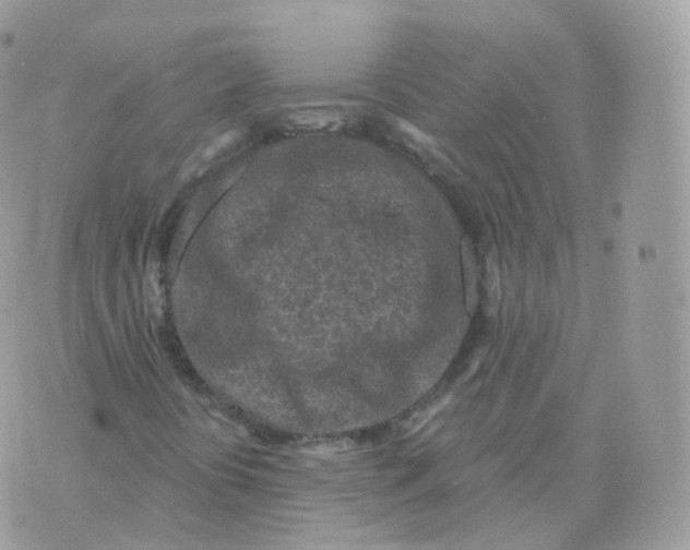 X0000070421394200606302049