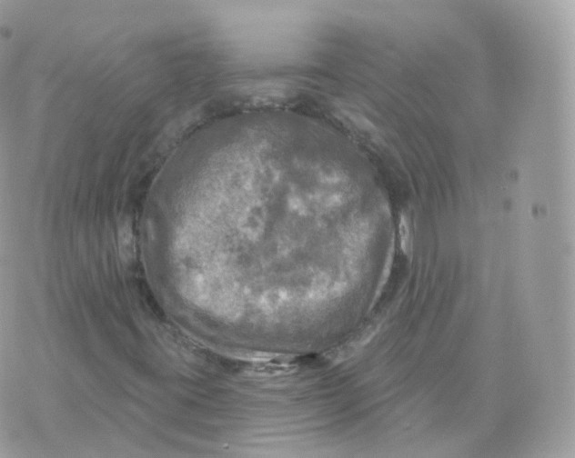 X0000070421395200606302049