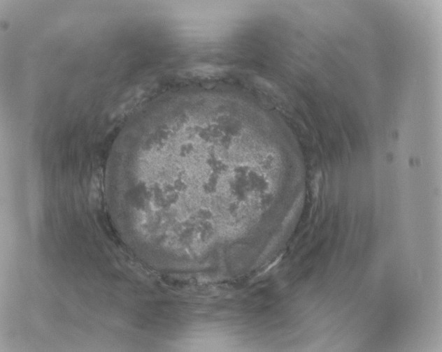 X0000070421397200606302049