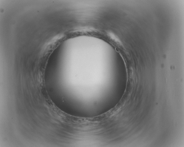 X0000070421398200606302049