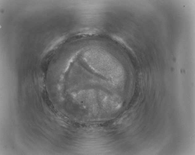 X0000070421399200606302049