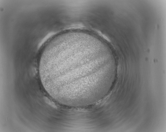 X0000070421400200606302049