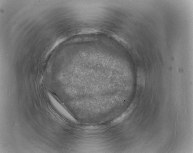 X0000070421401200606302049