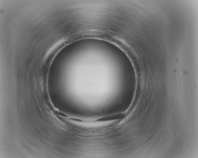 X0000070421402200606302049