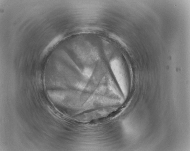 X0000070421403200606302049