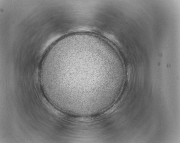 X0000070421404200606302049