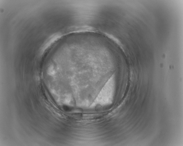 X0000070421407200606302050